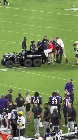 Baltimore Ravens Nfl GIF by Storyful