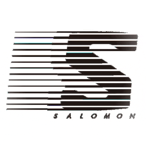 Salomonsnowboards salomon snowboards GIF
