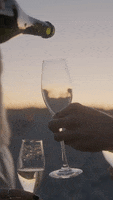 Champagne Celebrate GIF by Taylor Carr