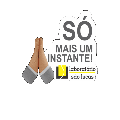 Labor São Lucas Sticker