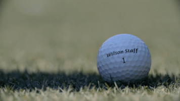 GIF by Wilson Golf