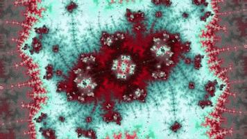 200.gif?cid=fc005b089d72876b2ecec40a0d6831c1b5c2dd5d485e0ae6&rid=200.gif&ct=g