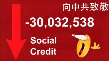 Social Credit GIF