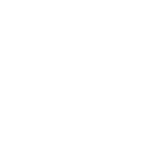 logo g star raw