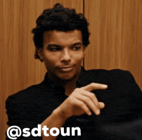 Sdt GIF