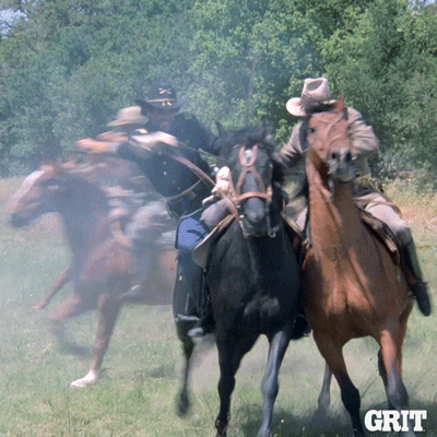 Old West Horse GIF by GritTV