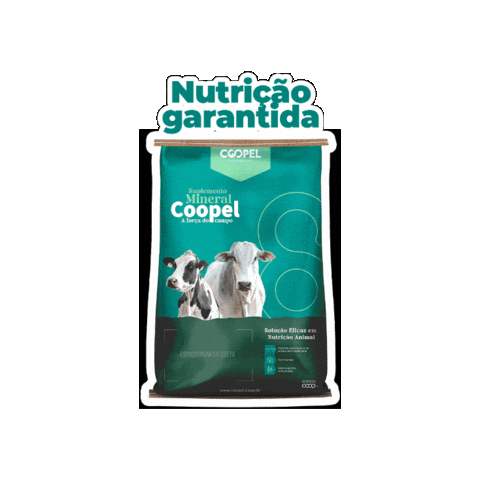 Boi Vaca Sticker by Coopel Agronegócios