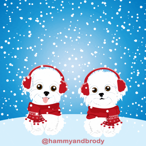 Merry Christmas Dog GIF by HammyandBrody