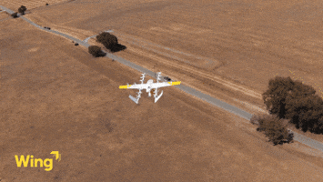Delivery Drone GIF by Wing