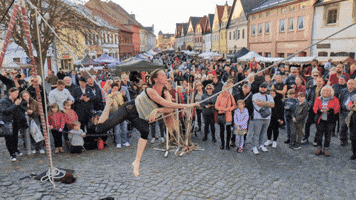 Kolinskaspolecnostpopravu GIF by Poprávu