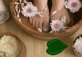 Ngâm Chân Lá Lốt GIF