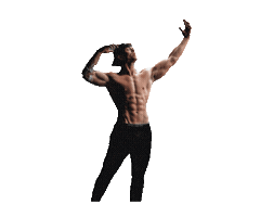 DaneRay Fitness Sticker