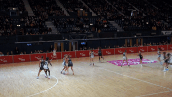 netball  GIF