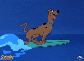 Scooby Doo Beach GIF by Boomerang Official