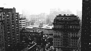 Video gif. A black and white shot of a city crusted in snow with snow actively falling around it.