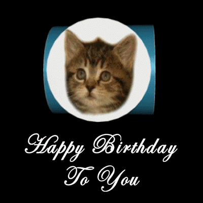 Scumbag Birthday Cat | Best Funny Gifs Updated Daily