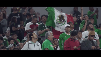 200.gif?cid=fc005b082ada10dcac9d97810cdb401f087b7cce5f61355a&rid=200.gif&ct=g