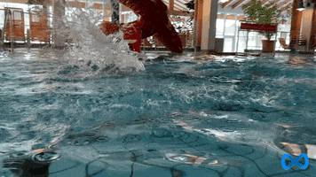 Sd2020 GIF by SD 2020 Bad Brückenau e.V.