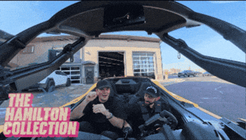 Steve Hamilton GIF by TheHamiltonCollection