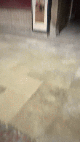 European Union Travel GIF
