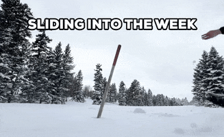 Snow Sliding In GIF by Storyful