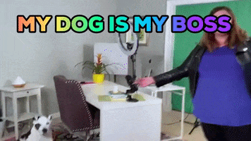 Work From Home Dogs GIF by Rachel Sheerin