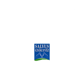 Salvus Gyógyvíz Sticker