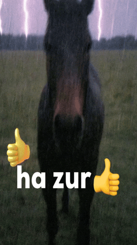 Ha Zur GIF