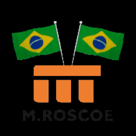 GIF by mroscoe