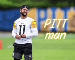 Pittsburgh Steelers GIF