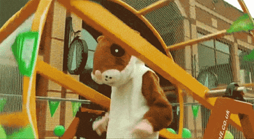 timbroddin  GIF