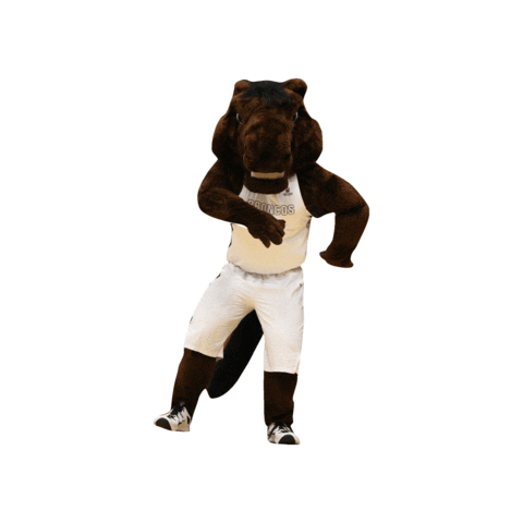 Santa Clara University Go Broncos Sticker By Santa Clara Broncos For Ios Android Giphy