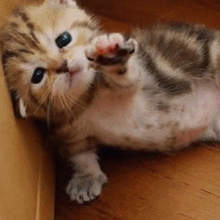 Alejandroaramburu GIF