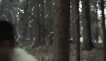 Fail GIF