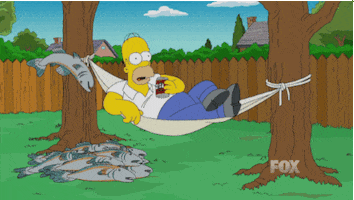 Homer Simpson Salmon Cannon GIF by FOX TV