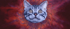 emanuelserjpg  GIF