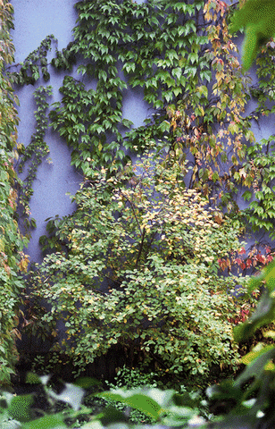 Art Fall GIF by Sandra Gramm