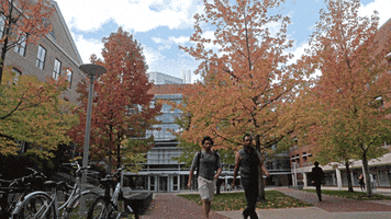 autumn GIF by Harvard University