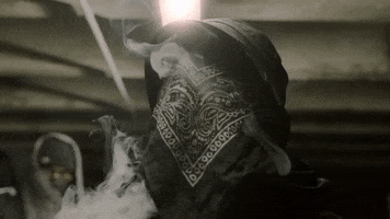 Sfsfs GIF