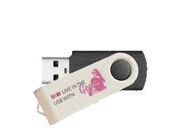 DJ BEE GEE Sticker