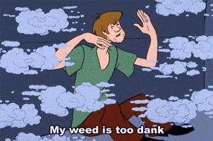 scooby doo smoke GIF