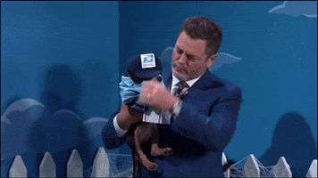 Nick Offerman Puppy GIF by The Late Show With Stephen Colbert