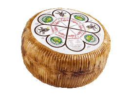 Formaggi Tomasoni Sticker