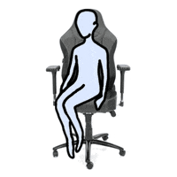 Positions Gamingchair GIF by MAXNOMIC