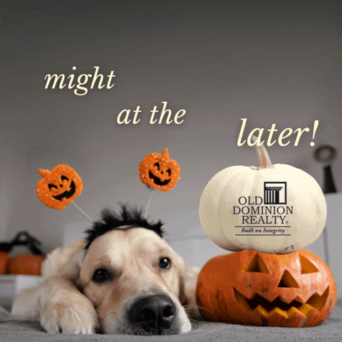 Feeling Spooky Trick Or Treat GIF by Old Dominion Realty