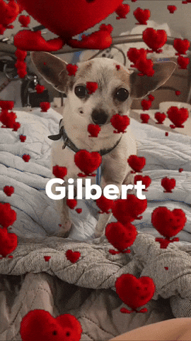Gilbert GIF
