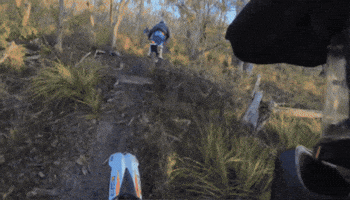 Crash GIF