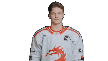 Trinec Sticker by HC Oceláři Třinec