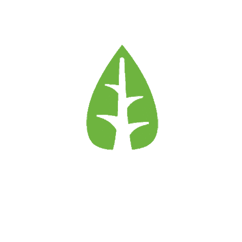 Cypress Title Sticker