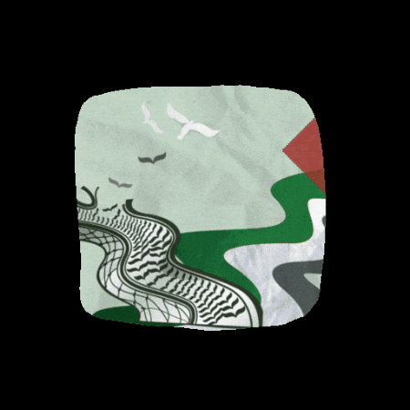 Palestine GIF by Muslim Pro